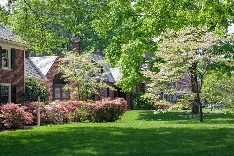 beautiful suburban street with lots of greenery, pink flowers in bushes, and beautiful brick homes